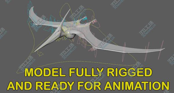 images/goods_img/20210312/3D model Pteranodon Longiceps Gray Animated/4.jpg